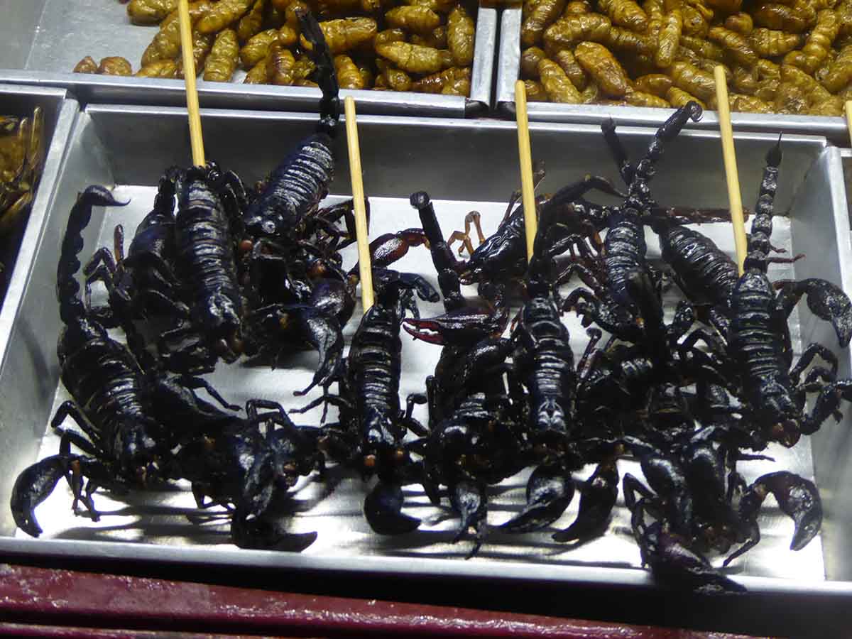 Scorpions on a stick at Khaosan Road in Bangkok
