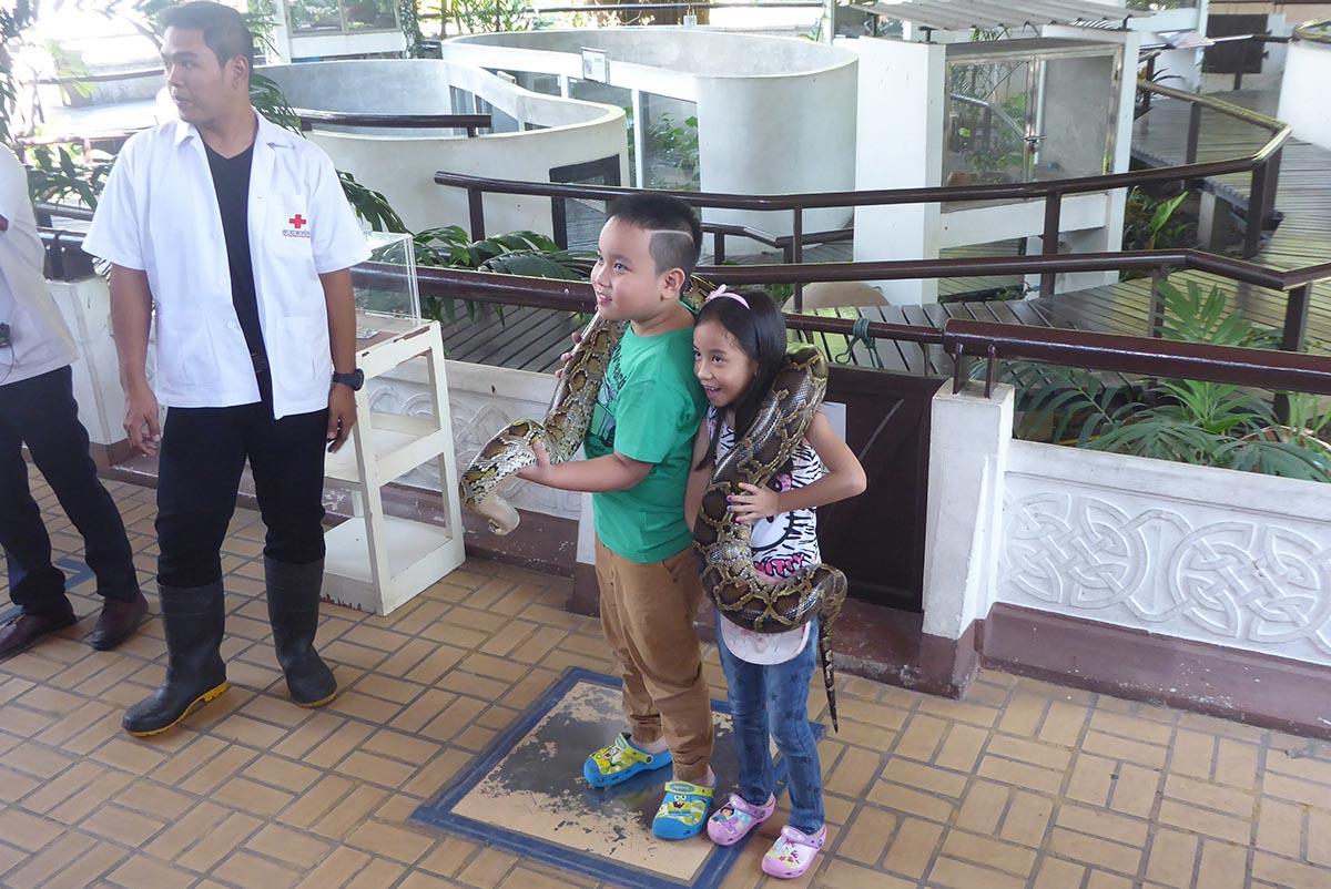 The Snake Farm (Queen Saovabha Memorial Institute) Bangkok