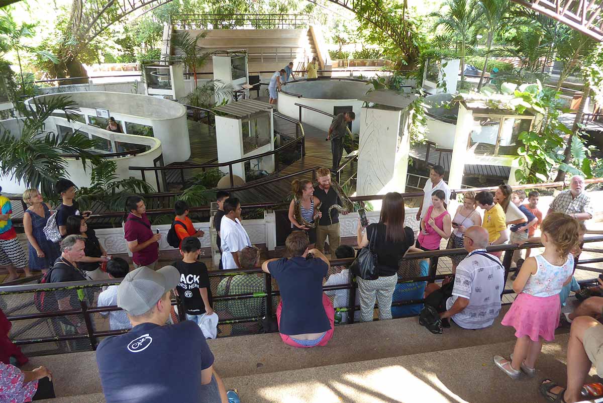 The Snake Farm (Queen Saovabha Memorial Institute) Bangkok