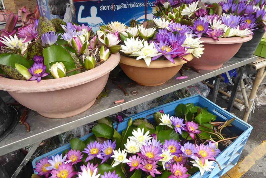 Chatuchak Flower Market