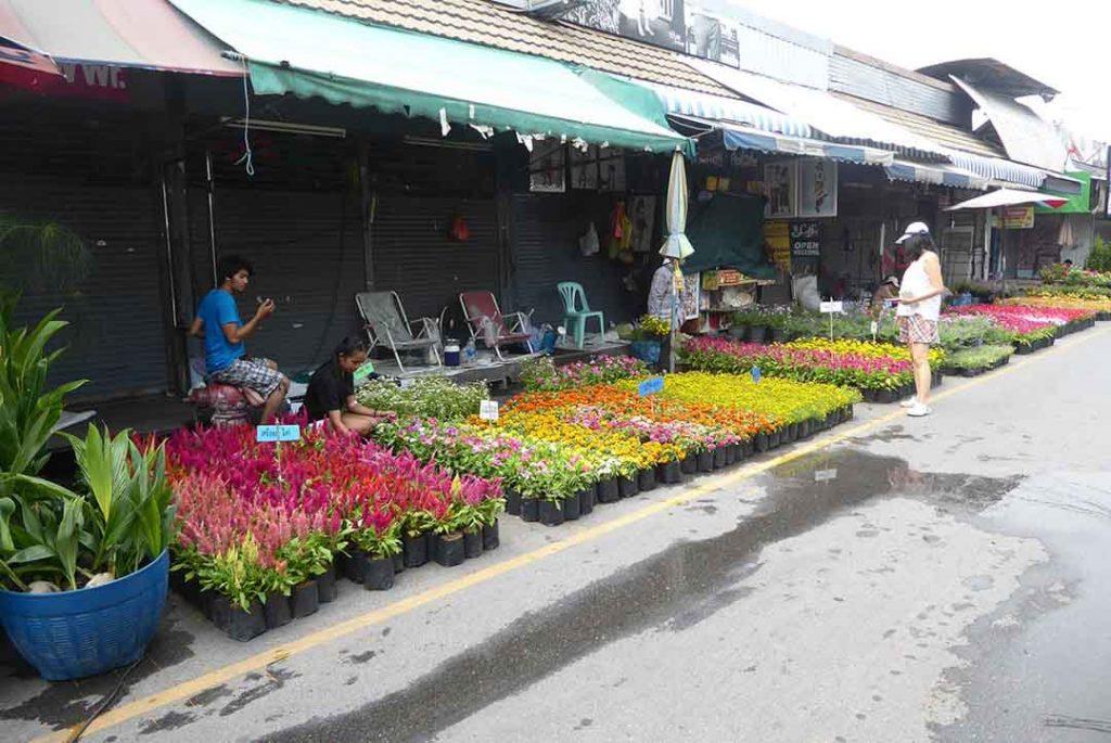 Markets in Bangkok Chatuchak Flower Market