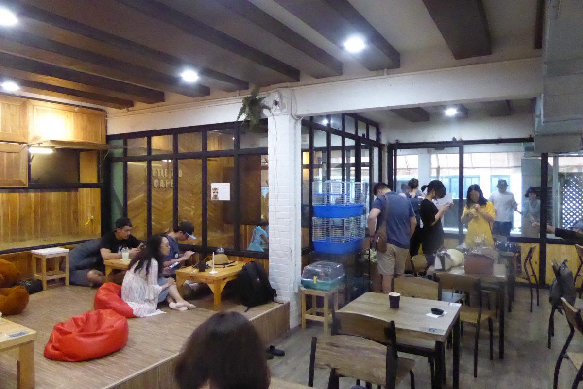 Little Zoo Cafe in Bangkok