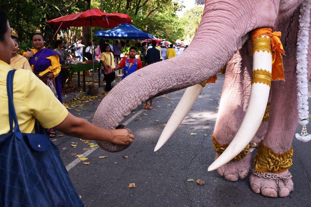 Thai Pink Elephants