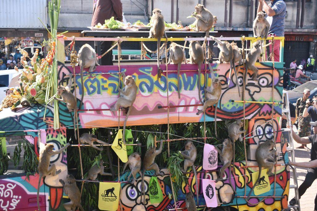 Lopburi Monkey Festival 2019