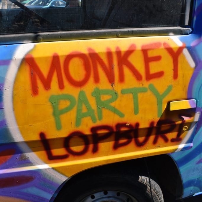 Lopburi Monkey Festival