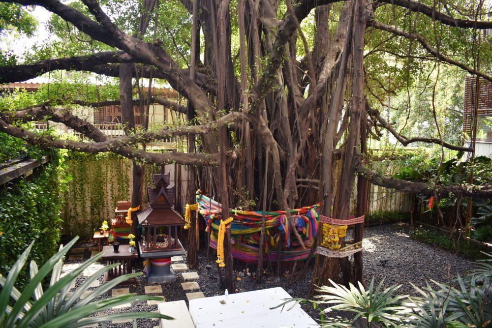 Millennium Hilton Bodhi Tree